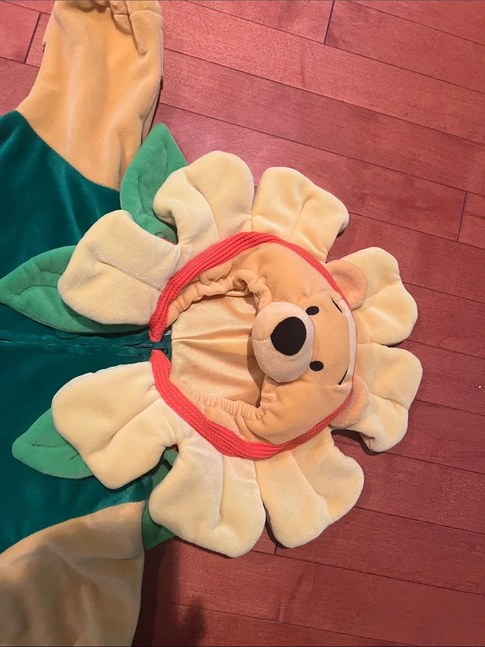 Disney Yellow and Green Winnie the Pooh Flower Costume